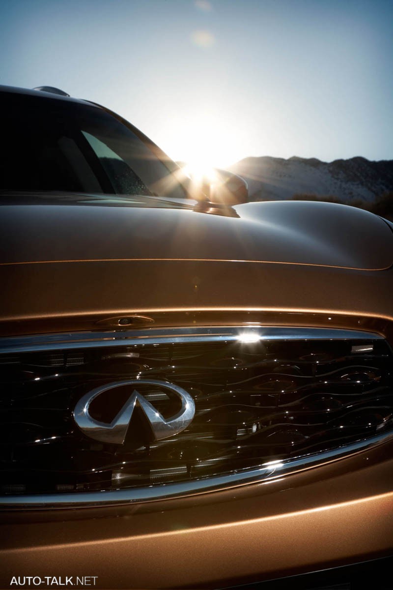 2009 Infiniti FX50