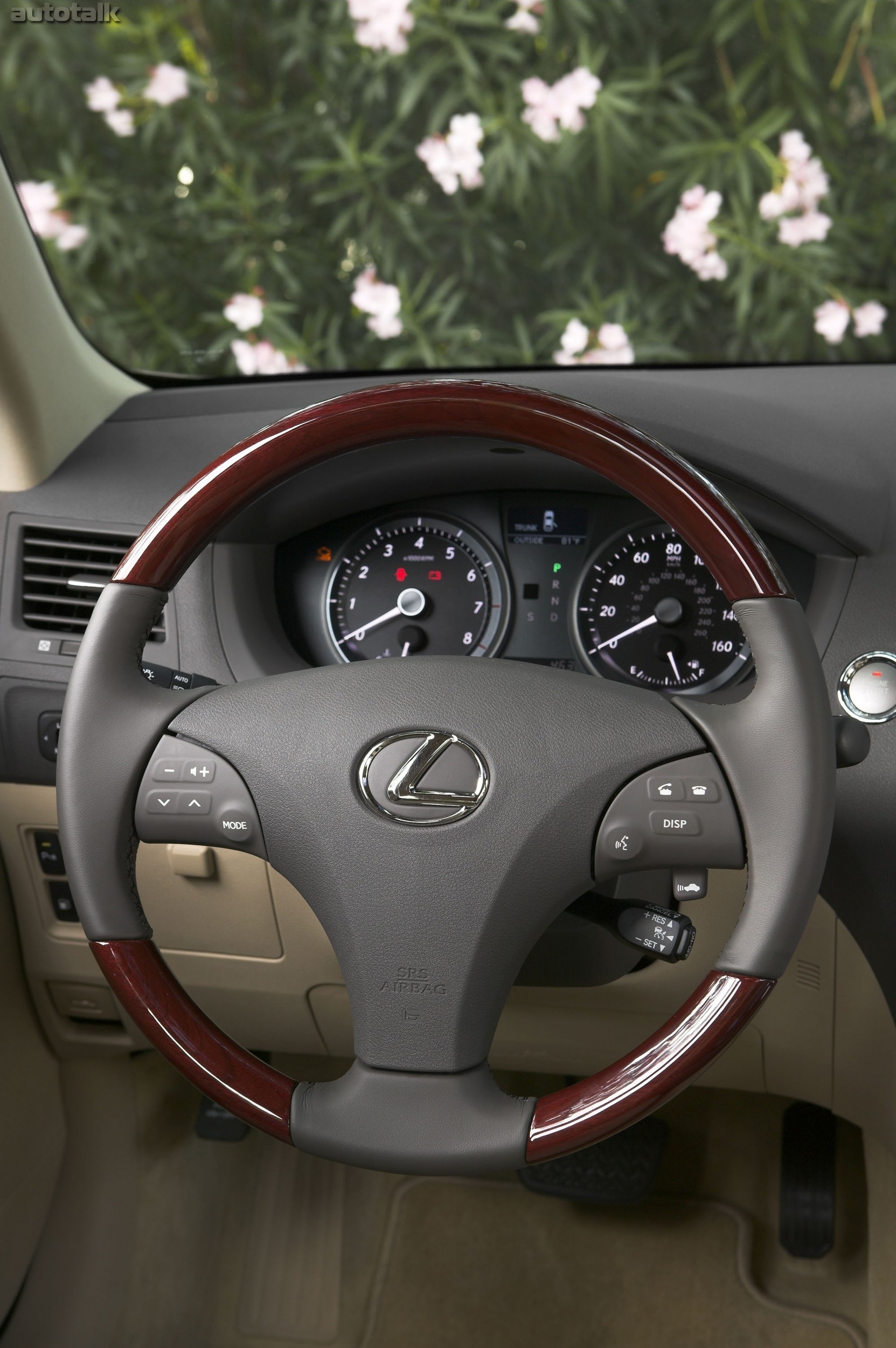 2009 Lexus ES 350 Steering Wheel