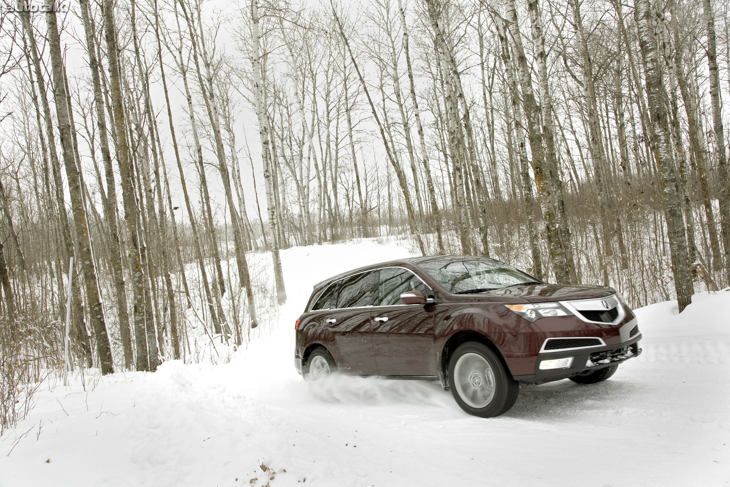 2010 Acura MDX