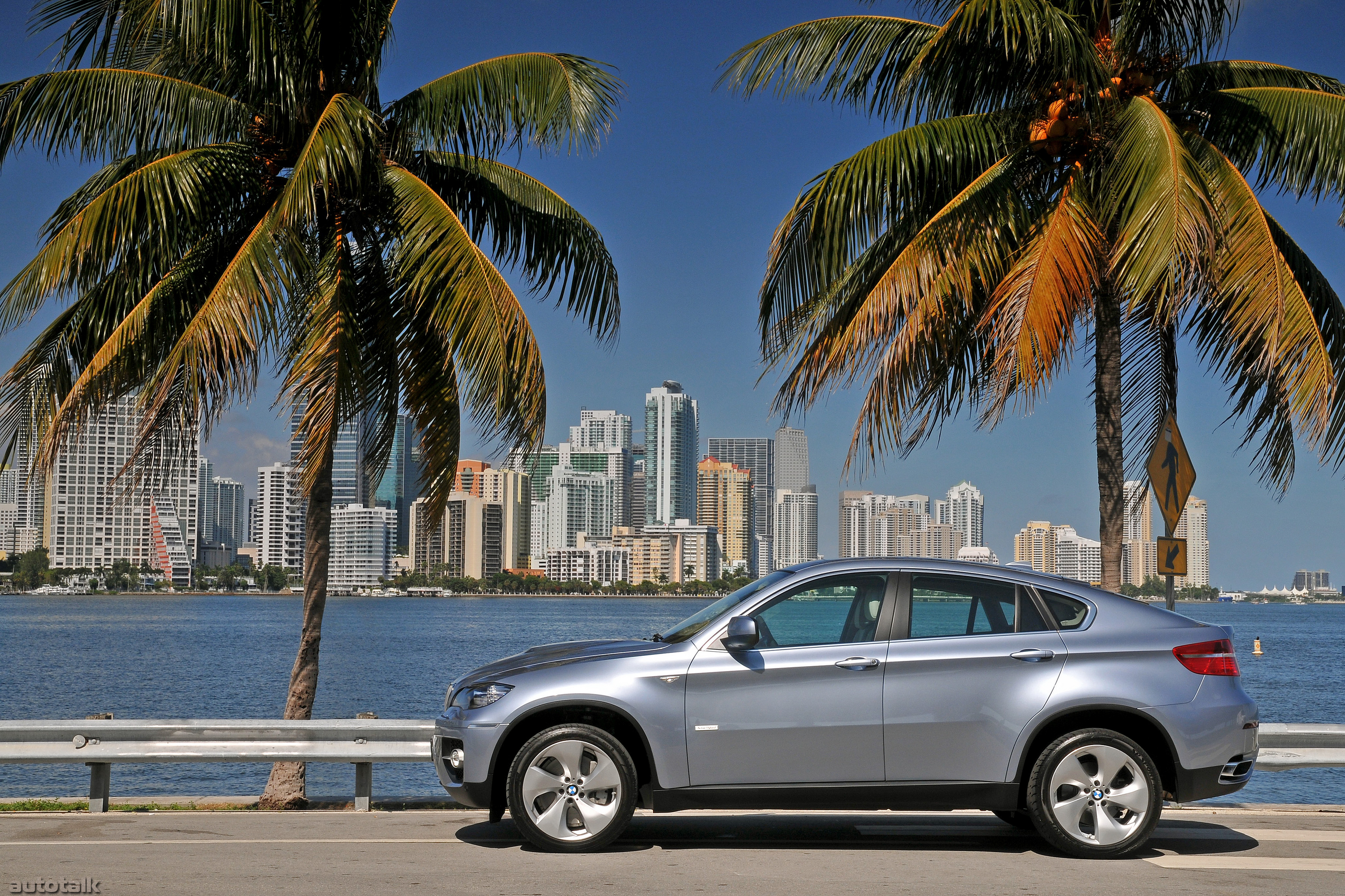 2010 BMW ActiveHybrid X6