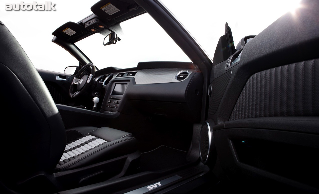 2010 Ford Shelby GT500 Mustang