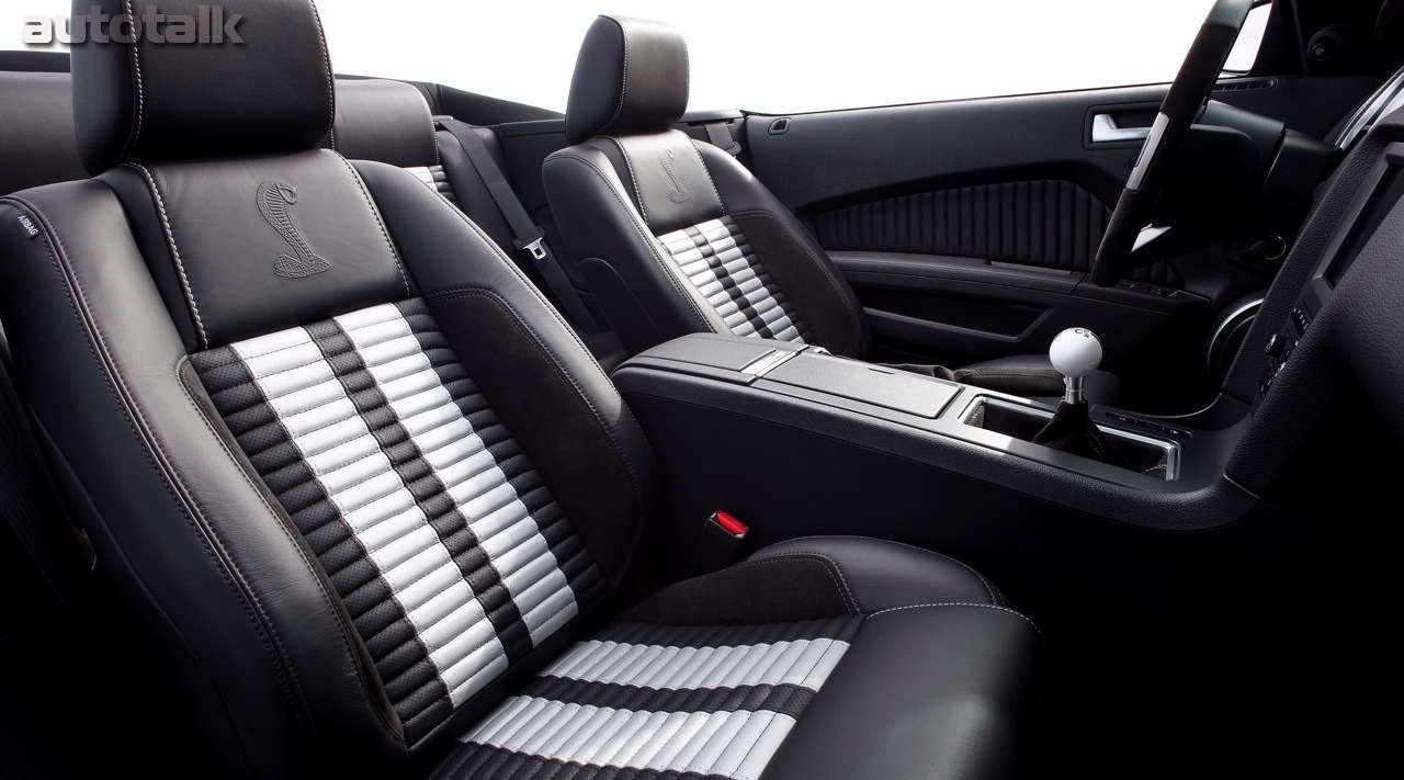 2010 Ford Shelby GT500 Mustang