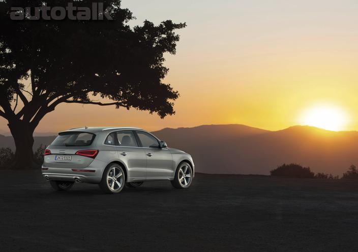 2013 Audi Q5