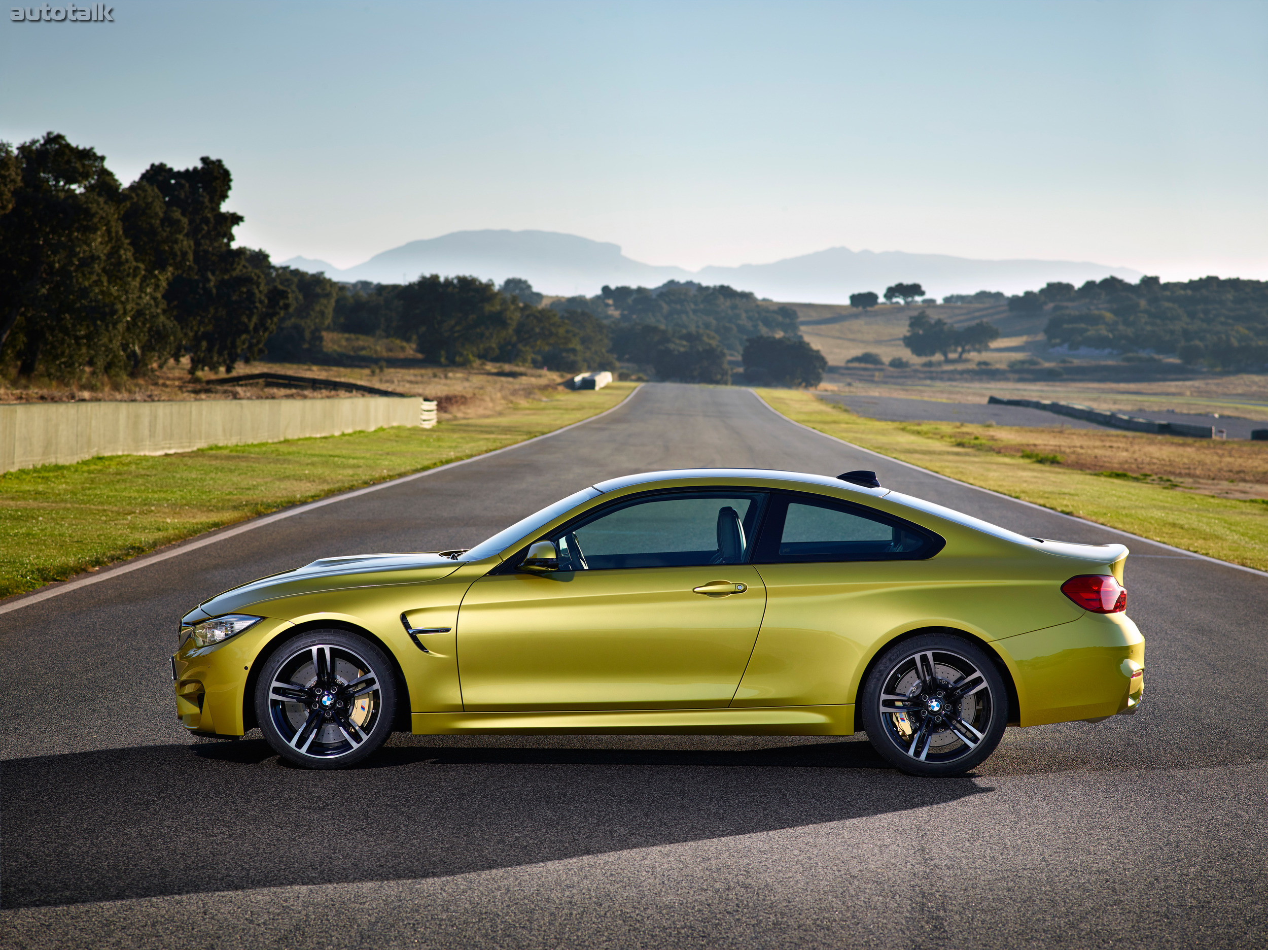 2015 BMW M4