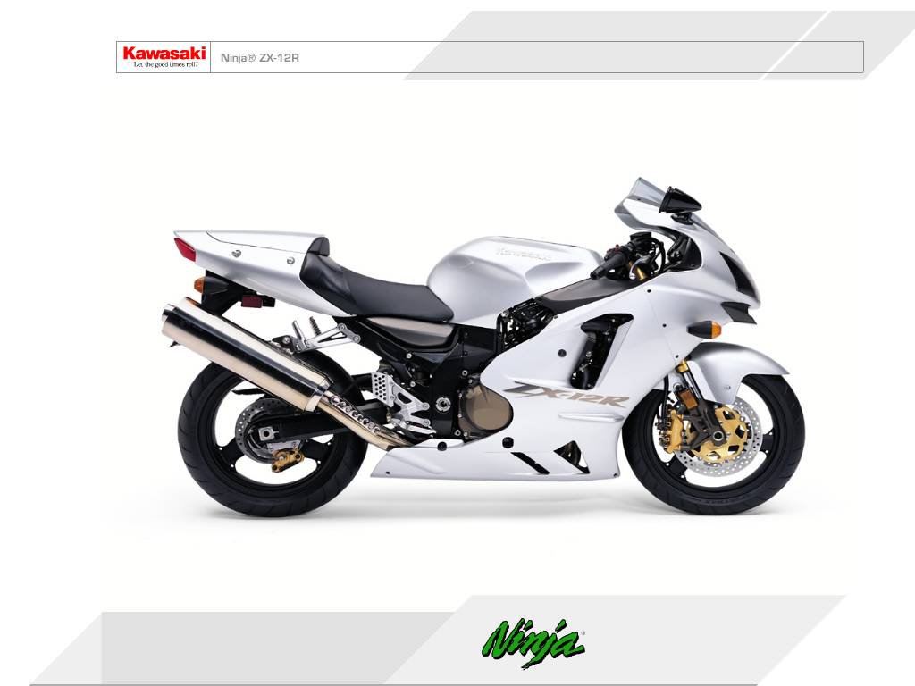 Kawasaki Ninja ZX12R