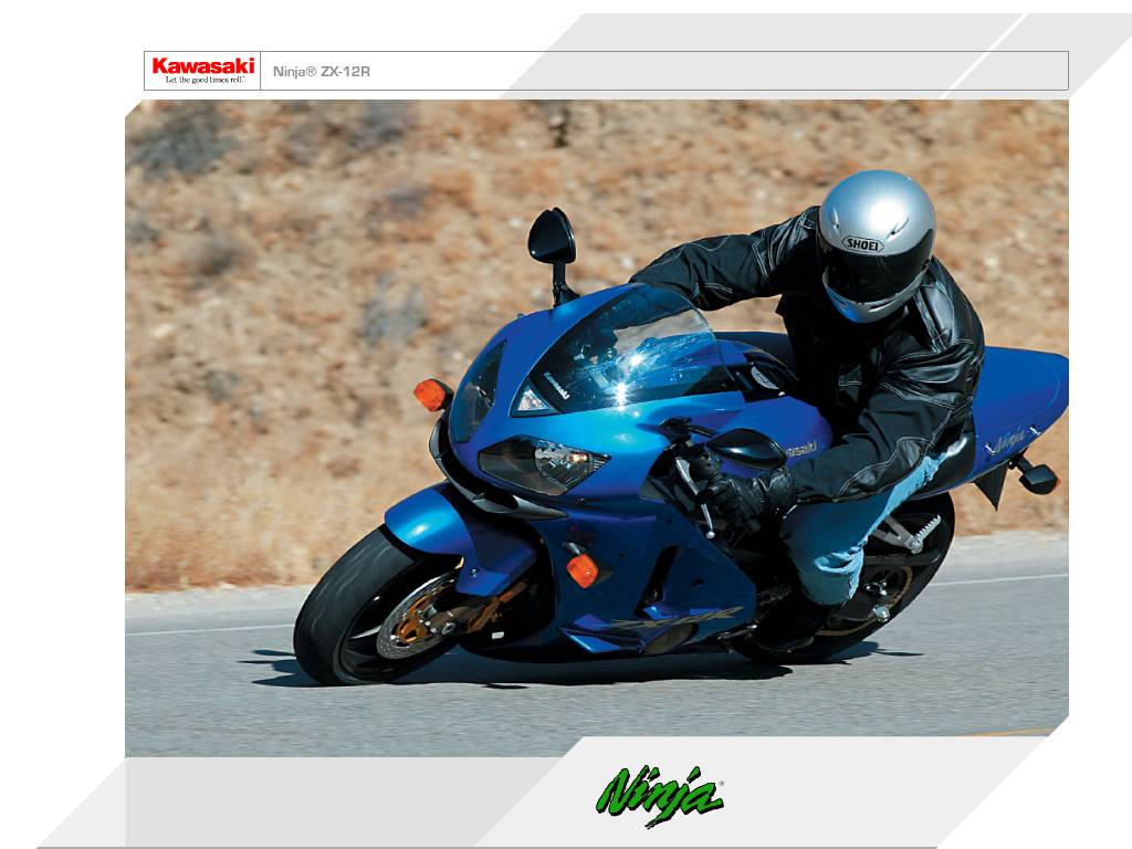 Kawasaki Ninja ZX12R