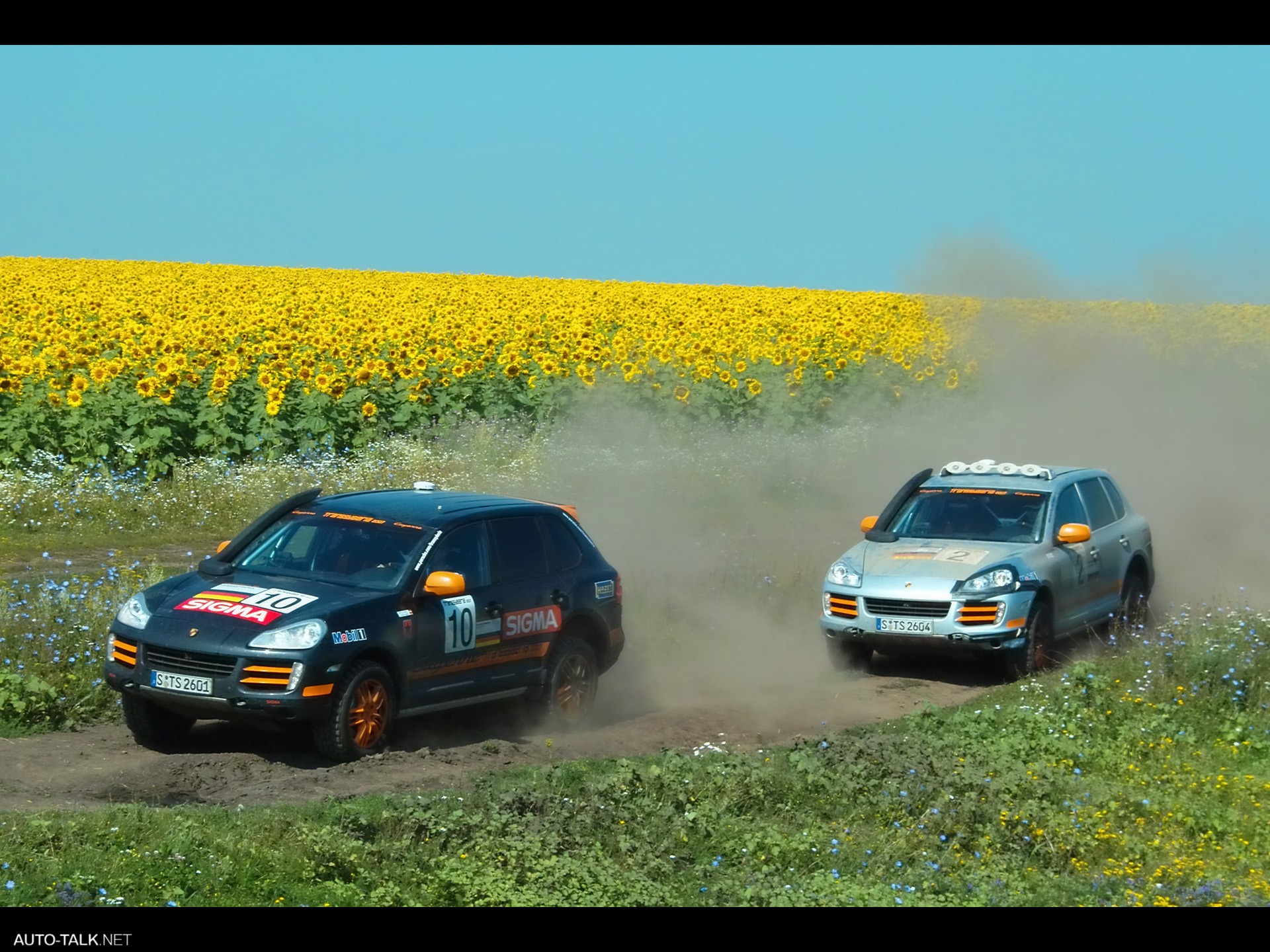Porsche Transsyberia Rally