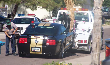 Shelby GT-H Stolen Rental