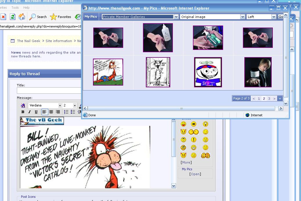 Test of the Image Insert System