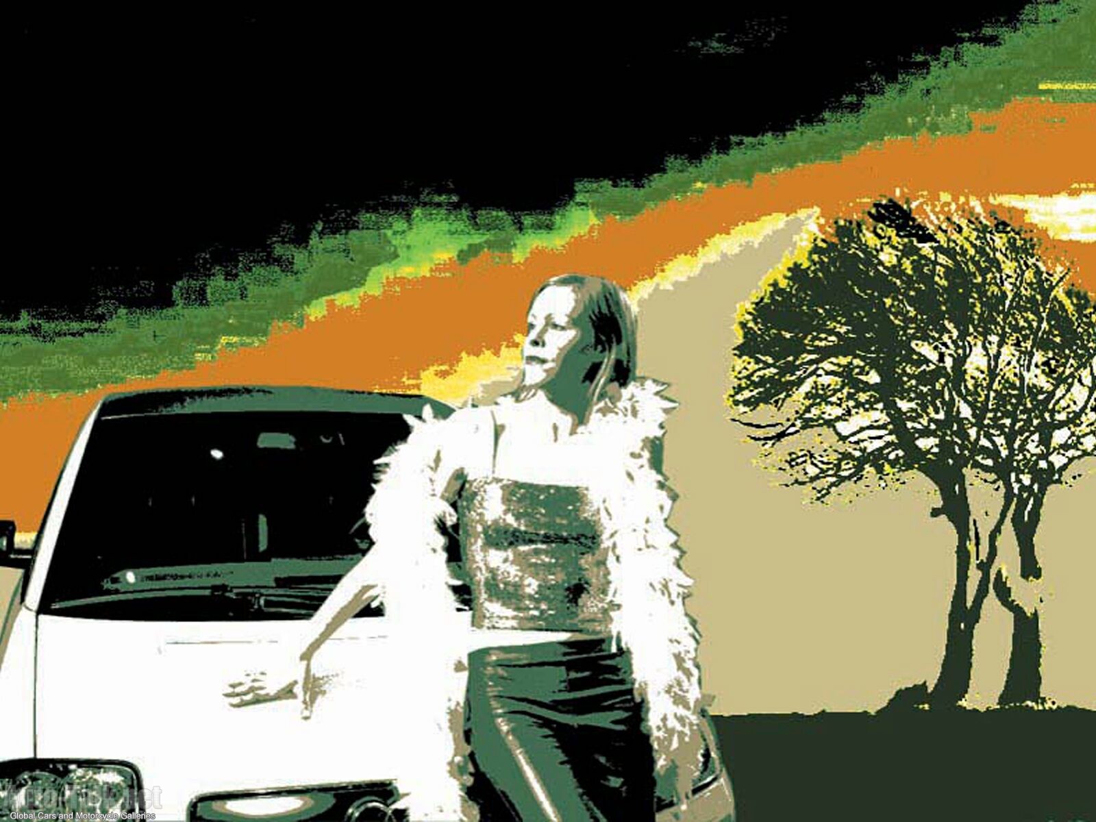 Various Audi Automobiles